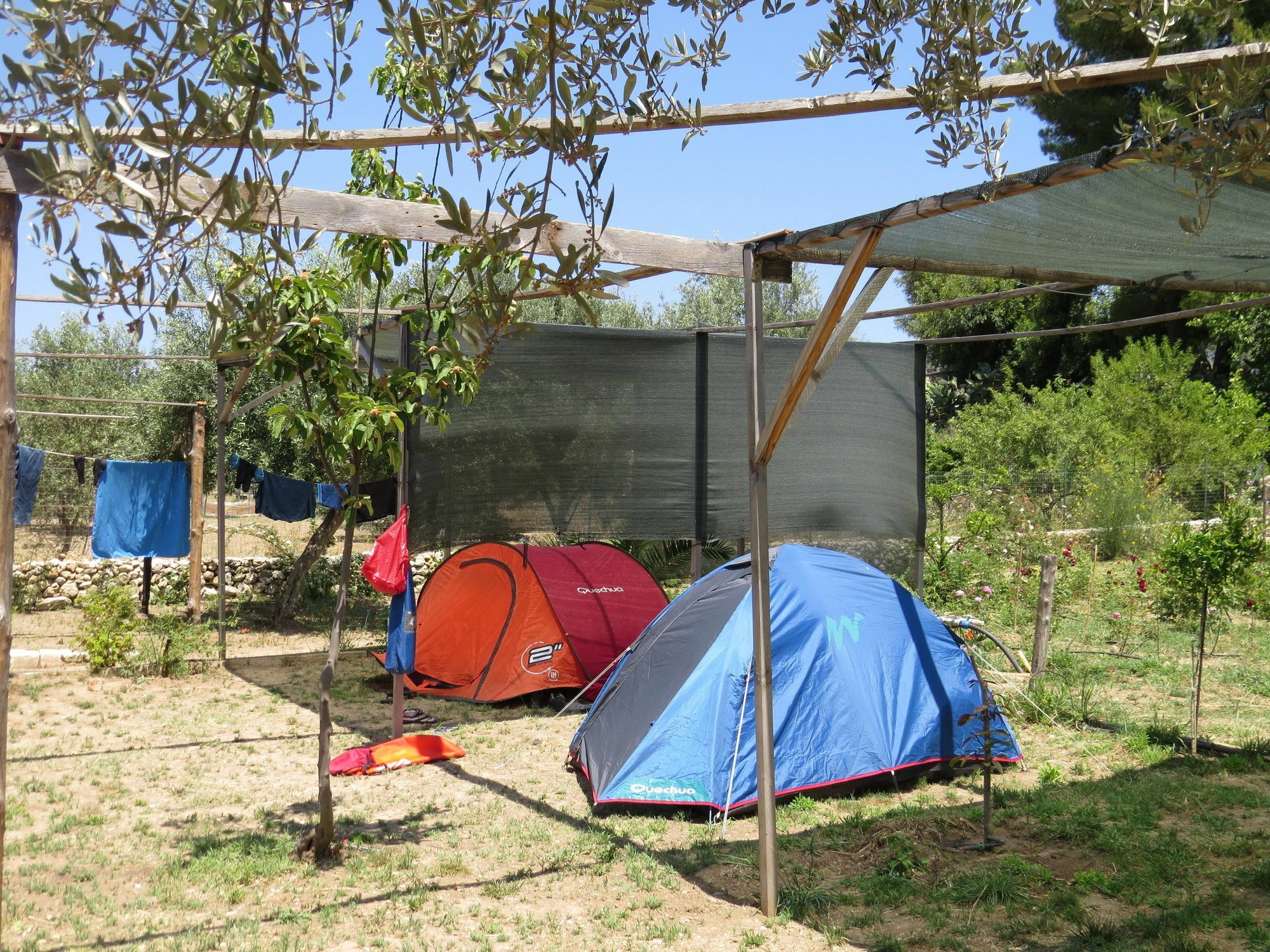 Camping Fiori Di ノート エクステリア 写真