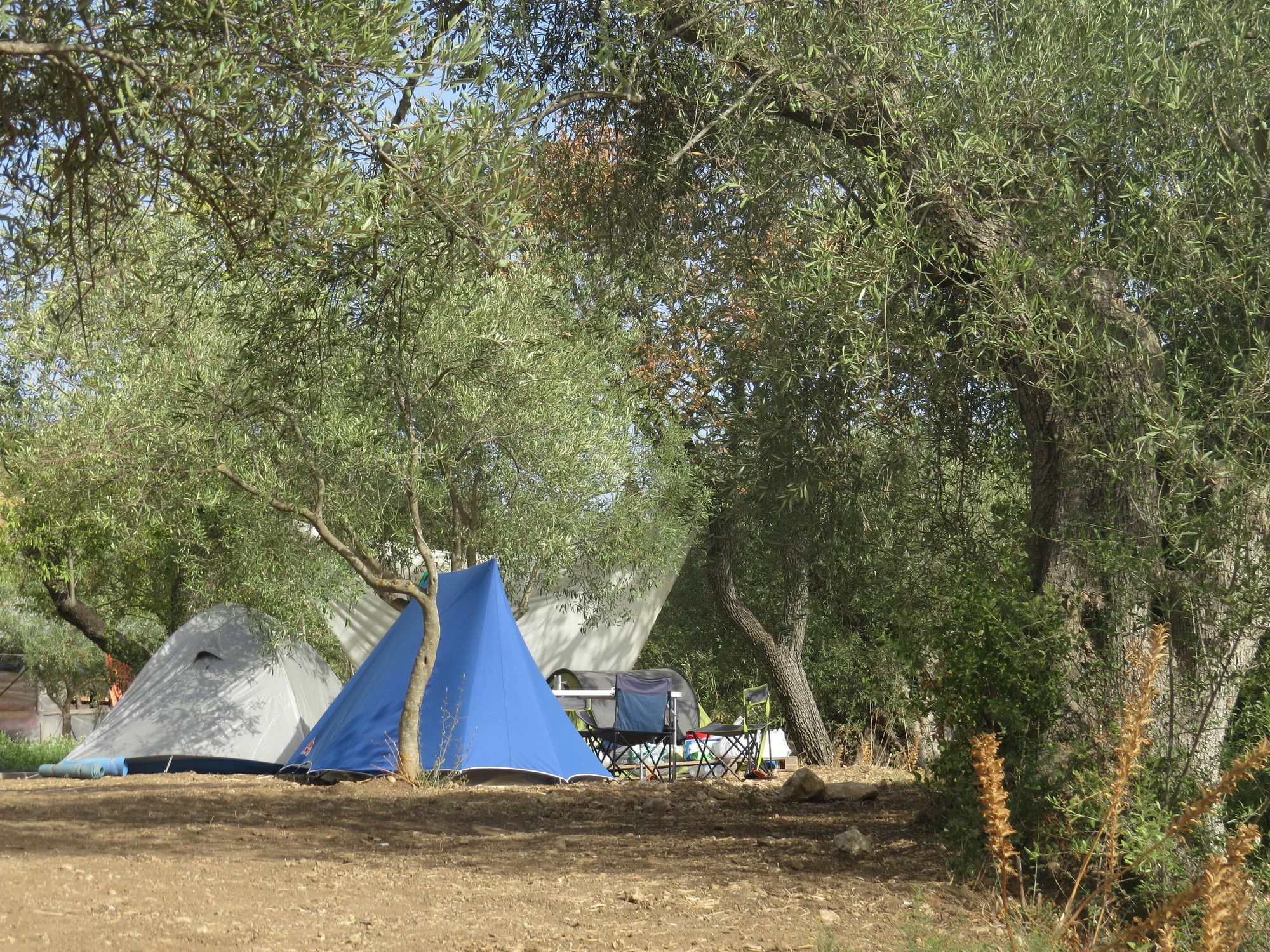 Camping Fiori Di ノート エクステリア 写真